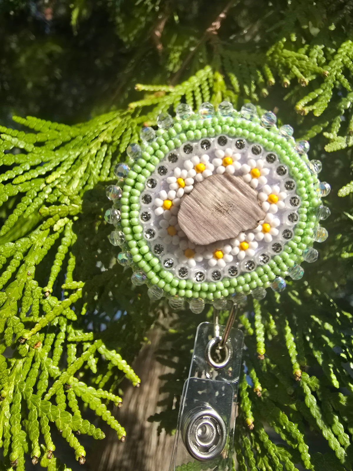 Daisy-Badge Reel